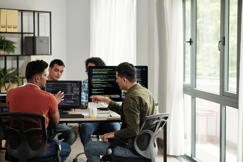 Software testing process